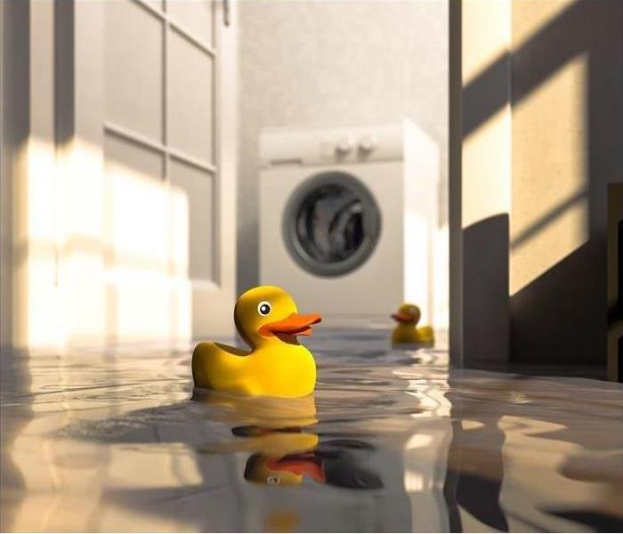 Flooded room with rubber duck 