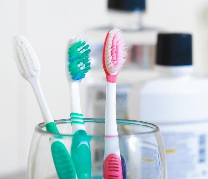 3 toothbrushes in cup with mouthwash in the background