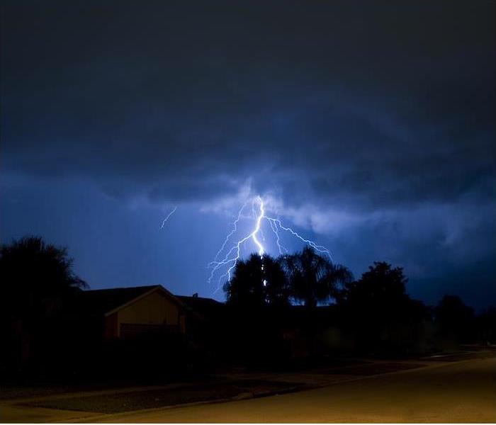Lightning Bolt Over Trees 