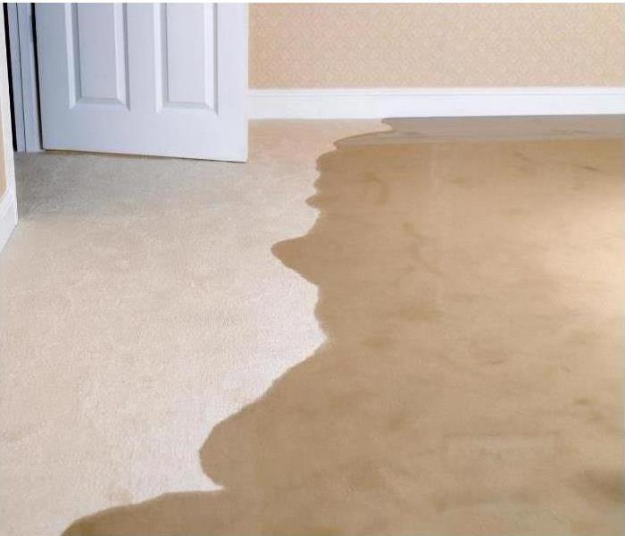 Tan carpet with water damage soaking half the carpet 