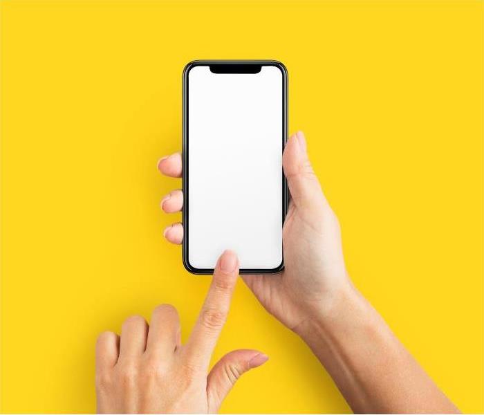Man Holding Cellphone on Yellow Background